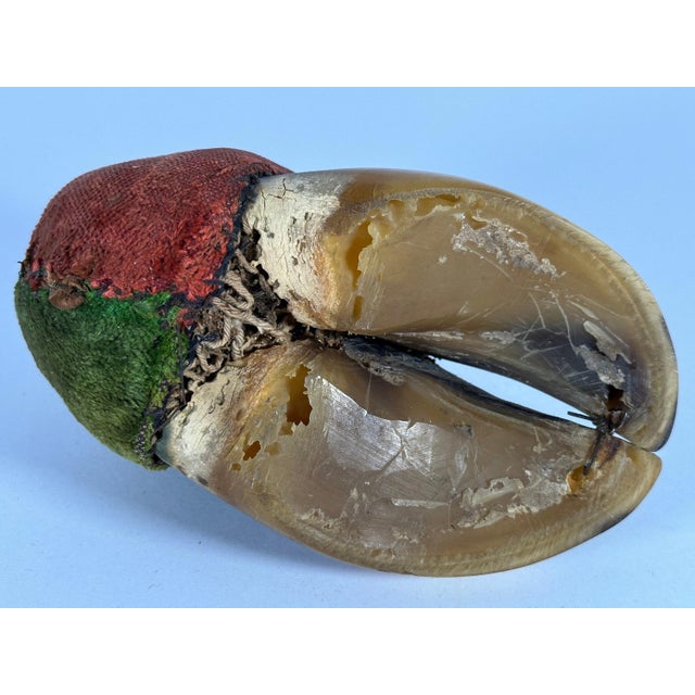 Victorian Taxidermy Bovine Hoof Pincushion For Sale - Image 6 of 9