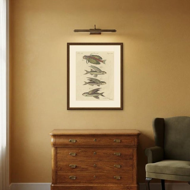 Bertuch, Flying Fish with a Flying Gurnard, 1805, Print For Sale - Image 11 of 12