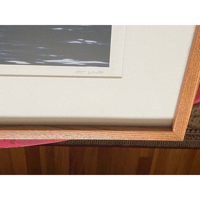 1990s 1990s Art Wolfe Signed Limited Edition 14/250 Photo Orcas Sierra Club Oak Wood Frame For Sale - Image 5 of 8
