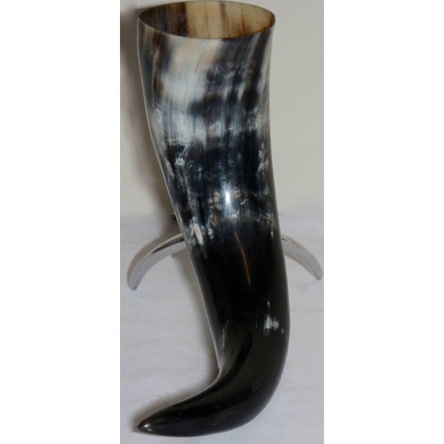 Modern Buffalo Horn on a Stand Home Decor For Sale - Image 3 of 9