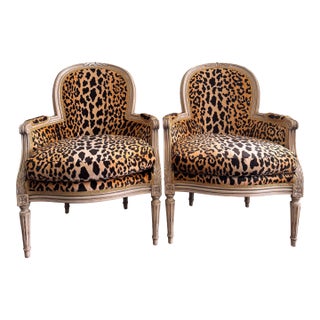 Vintage Louis XVI Bergere Chairs in Velvet Leopard For Sale