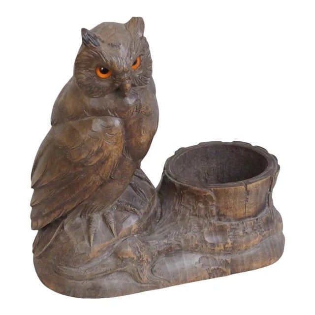 Wood Circa 1910 Black Forest Owl For Sale - Image 7 of 7