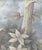 Tropical Views , Tropical Scenery, Hand-Painted Panoramic Wallpaper For Sale - Image 4 of 9