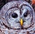 Reflection: Barred Owl by Allison Leigh Smith | Oil on Aluminum Portrait of a Barred Owl For Sale - Image 4 of 5