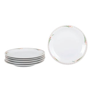 Fleur Pattern Dinner Plates in Porcelain, Rörstrand, Sweden, 1980s, Set of 6 For Sale