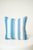 Breezy and cheerful, this 16-inch square throw pillow features classic baby blue and white stripes. The coastal-inspired...