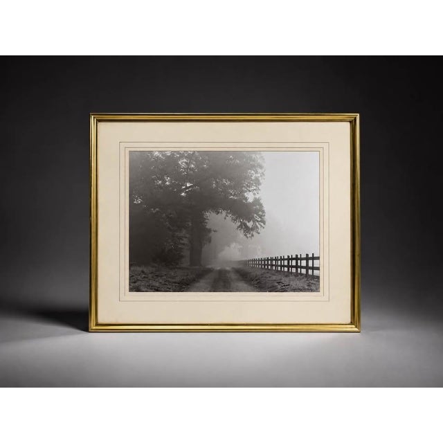Mid 20th Century Mid 20th Century Misty Country Road Black and White Photograph in Gold Frame For Sale - Image 5 of 5