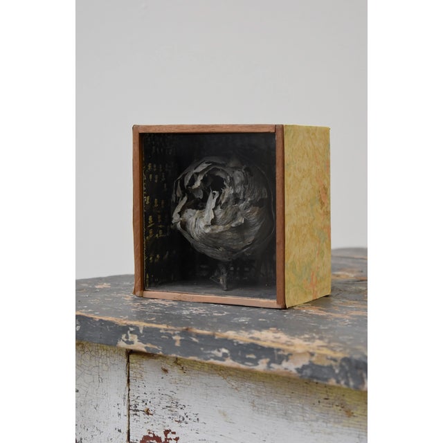 Vintage Mounted Wasp Nest Shadow Box with Panoramic Graduate Photo, Circa 1960s. Behind a rather imposing natural wasp’s...