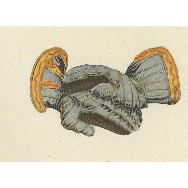 Medieval Gauntlets and Arm Defenses, 1842, Lithograph For Sale - Image 4 of 6