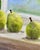 Giclee Print “Tiny Bottles and Pears” Watercolor Painting For Sale - Image 10 of 12