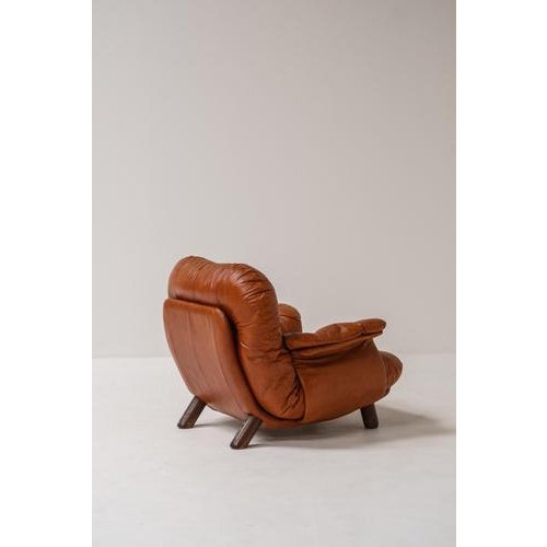 Lounge Chair by E. Cobianchi for Insa, Italy, 1970s For Sale - Image 3 of 9