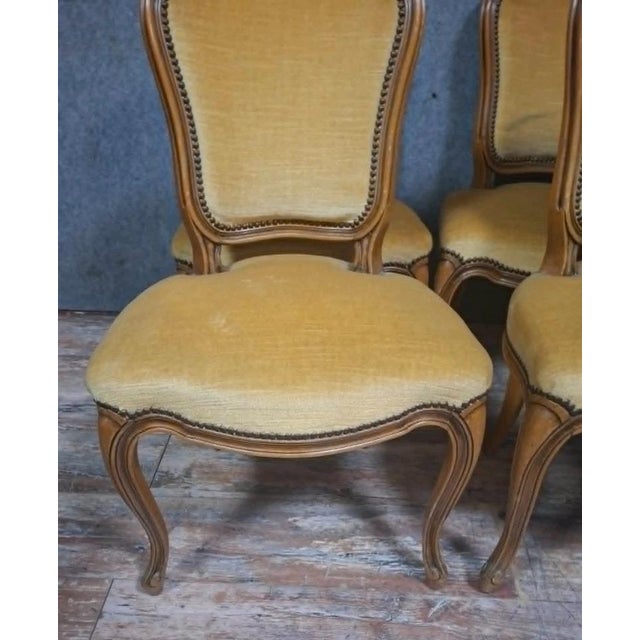 Gold Antique Louis XV Style Chairs in Carved and Ground Wood, Set of 4 For Sale - Image 8 of 10