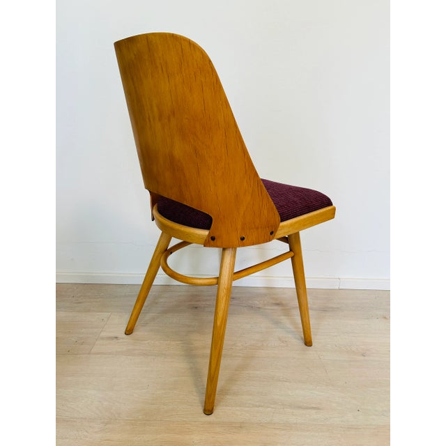 Vintage Czechoslovakian Chair by Radomir Hoffmann for Ton, 1960s For Sale - Image 4 of 12