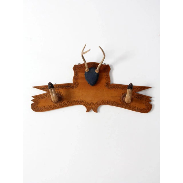 Brown 1950s Deer Antler and Hoof Mount For Sale - Image 8 of 11