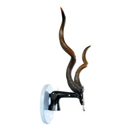 Example of Antique Steel Wall Accents