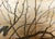 "Sakura and Mejiro Birds", 1970s Showa Era Japanese Byobu Screen For Sale In Dallas - Image 6 of 18