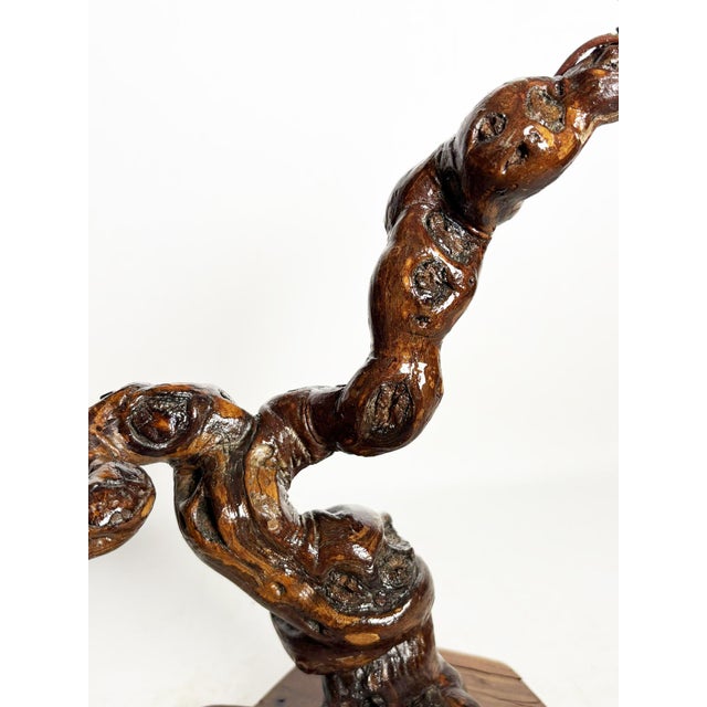 Small Vintage Root Table Lamp, France, 1950 For Sale - Image 11 of 12