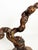Small Vintage Root Table Lamp, France, 1950 For Sale - Image 11 of 12