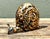 Vintage Coconut Shell Snail For Sale - Image 11 of 12
