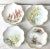 Ceramic Gorgeous Set of Monbijou Bavaria Floral Porcelain Plates. For Sale - Image 7 of 7