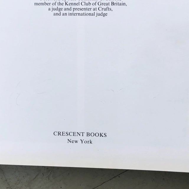 1980s Dogs of the World by Maurizio Bongianni & Concetta Mori For Sale - Image 4 of 13