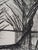 Bernard Buffet, Cathedral of Trees, Etching For Sale - Image 4 of 5