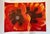 Georgia Okeeffe, Oriental Poppies, Print For Sale - Image 6 of 6