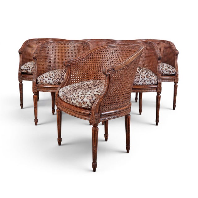 Louis XVI Carved Oak & Cane Barrel-Back Armchairs With Leopard Upholstery-Set of 6 For Sale - Image 12 of 13