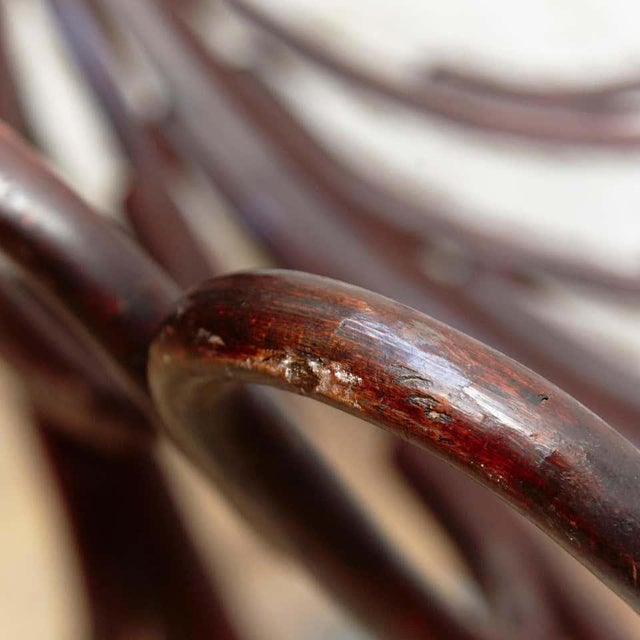 Bentwood Modernist Cradle attributed to Ventura Feliu, 1930s For Sale - Image 10 of 18