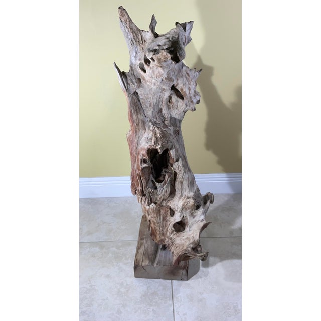 Large Natural Abstract Driftwood Sculpture For Sale - Image 4 of 12