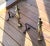 English English Chippendale Fireplace Andirons With Ball and Claw Feet For Sale - Image 3 of 4