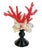 Ceramic Italian Majolica “Frutti Di Mare” Coral & Shell Centerpiece Sculpture For Sale - Image 7 of 8