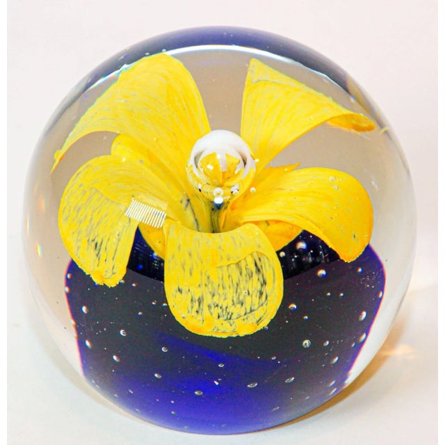 Yellow Murano Hand Blown Paperweight Yellow Flower With Blue Base Collectible Art Glass For Sale - Image 8 of 13