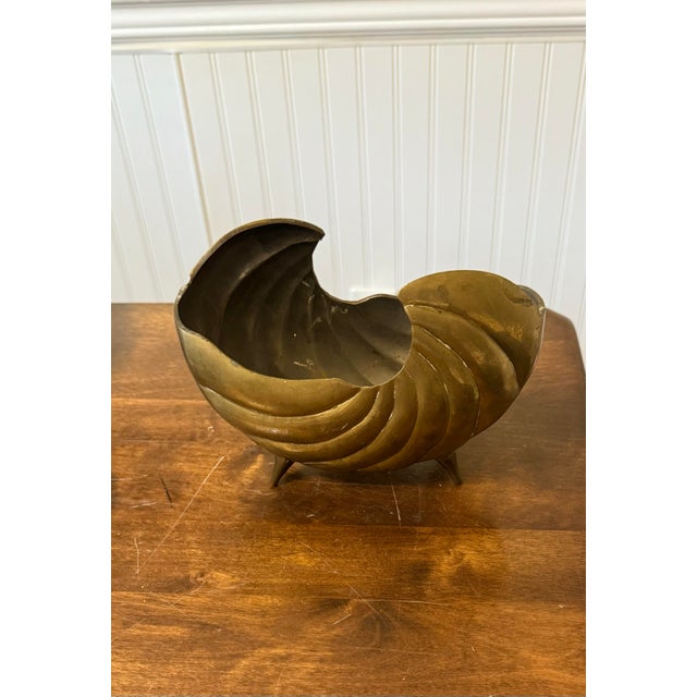 Mid-Century Modern Hair Brass Nautilus Shell For Sale - Image 3 of 12
