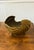 Mid-Century Modern Hair Brass Nautilus Shell For Sale - Image 3 of 12