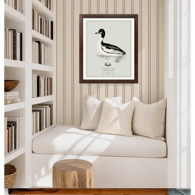 William Lewin 1789 Waterbirds Fine Art Gallery Board Print - The Golden Eye For Sale - Image 11 of 11