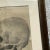 Vintage Boho Original Pencil Sketch of Skull For Sale In West Palm - Image 6 of 10