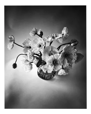Ugne Pouwell, Poppy Bunch, 2024, Photography