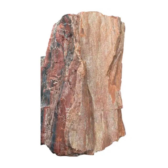 Contemporary Petrified Wood Sculpture, Organic Modern Design, #2 For Sale - Image 3 of 13
