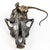 Rustic Rare Bronze Lizard on Skull by Michael Storey For Sale - Image 3 of 7
