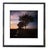 Paul Cooklin, Puddles, Occold, Suffolk, Edition of 50 For Sale