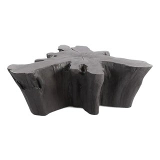 Charred Black Teak Root Coffee Table For Sale