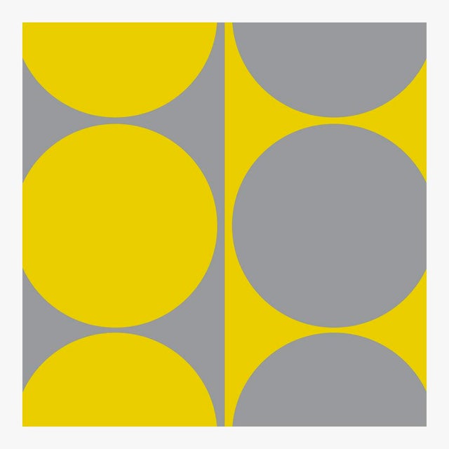 Dynamic Pair Yellow and Gray Fine Art Print 14" X 20" by Liz Roache For Sale - Image 4 of 5