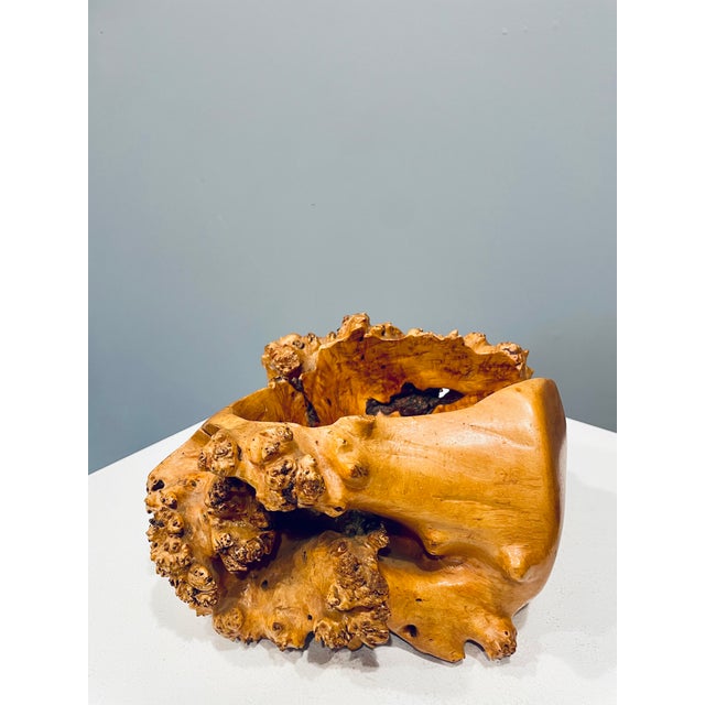 1940s Large Vintage Swedish Bowl in Burl Wood, 1940s For Sale - Image 5 of 6