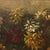Paolo Grilli, Still Life, Oil on Canvas, Framed For Sale - Image 7 of 12
