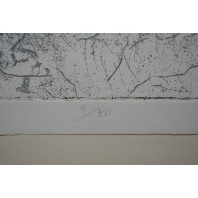 Abstract Expressionism 1970s David Freed Genesis - Cities of the Plain Framed Black & White Etching Signed Ltd Edition For Sale - Image 3 of 7