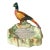 Mid 20th Century Quail Ashtray For Sale
