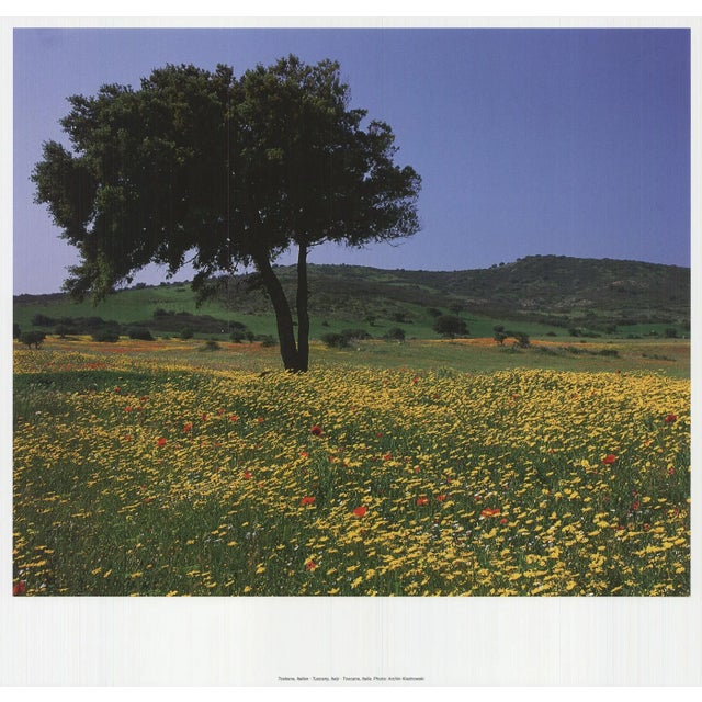 Archiv Kiedrowski Tuscany, Italy, 2009 For Sale