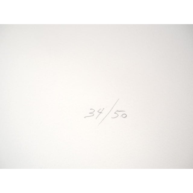 Nivese, Optical Game, Original Silkscreen For Sale - Image 3 of 7