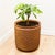 1970s Large Stoneware Thumbprint Planter by David Cressey & Robert Maxwell for Earthgender, Attributed For Sale - Image 13 of 15